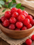 Premium Dried Cherries | Sweet & Tangy Dried Cherry | Healthy Dry Fruit Snack | Fresh & Delicious
